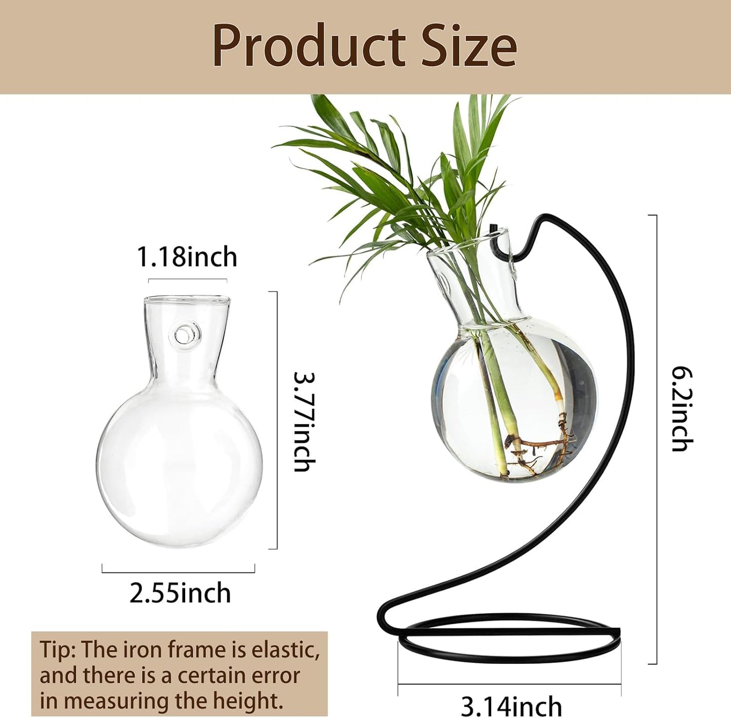 Soporte vidrio para plantas terrario oficina hogar