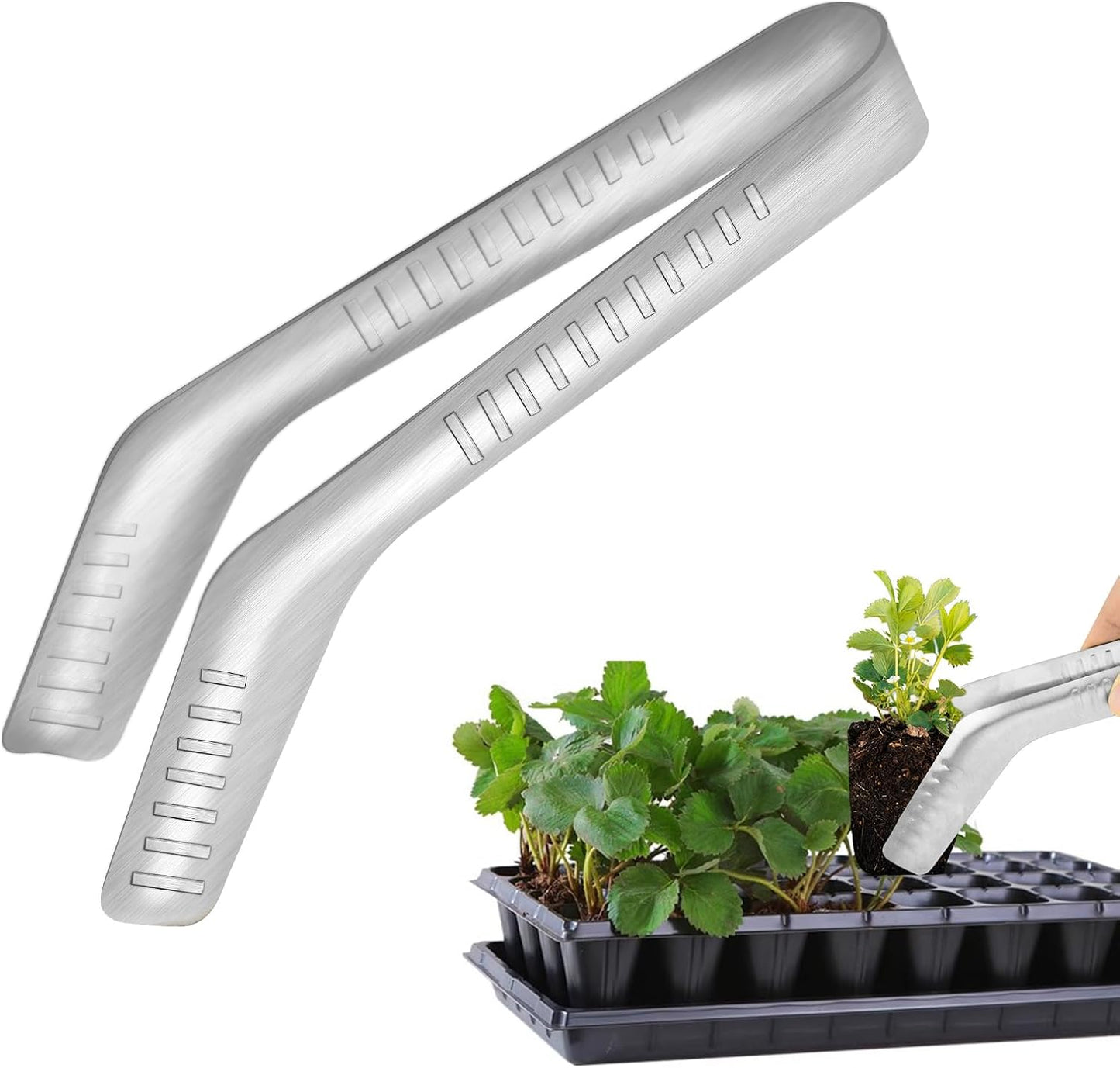 Pinzas trasplante plántulas acero inox antideslizantes
