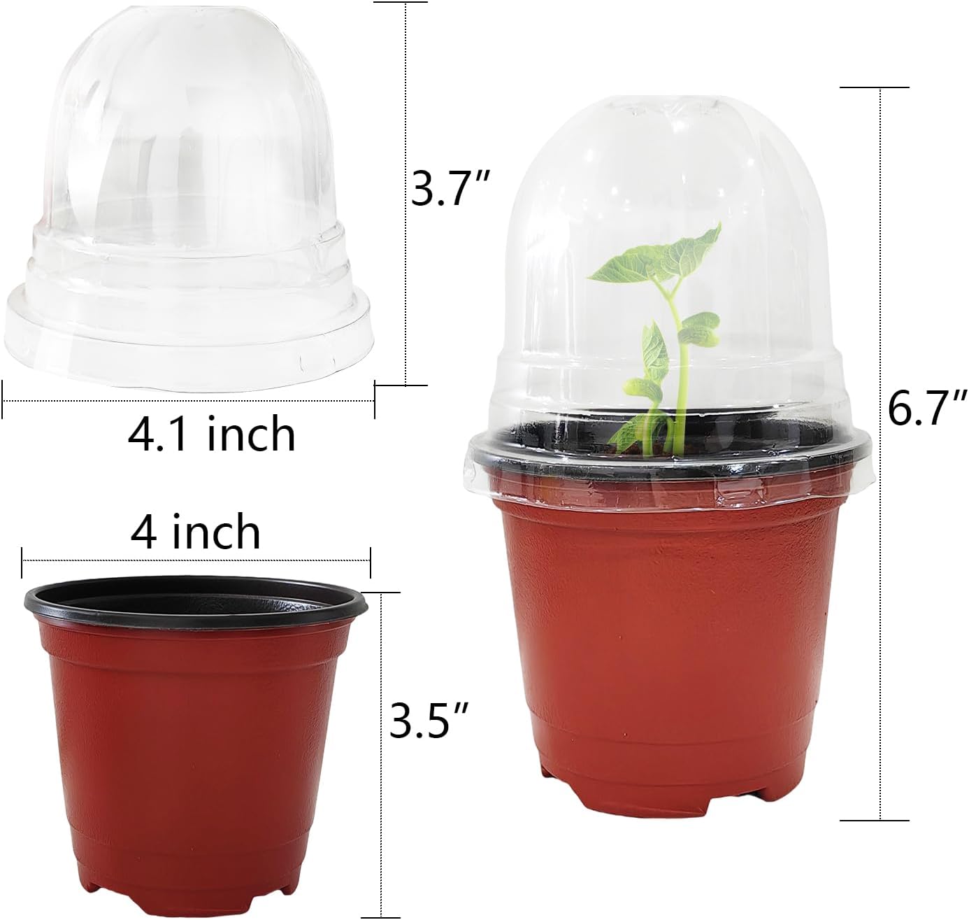 Macetas vivero con cúpulas humedad 25pulg rojas tapas transparentes