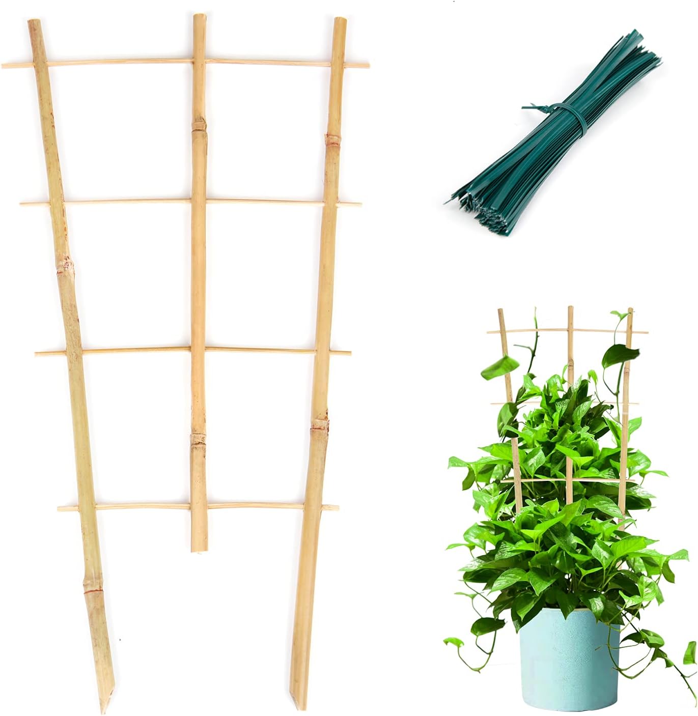 Enrejado bambú abanico 16pulg para plantas trepadoras