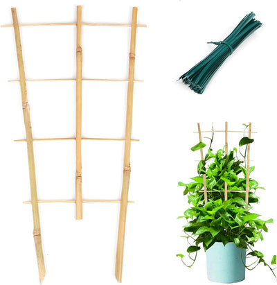 Enrejado bambú abanico 16pulg para plantas trepadoras