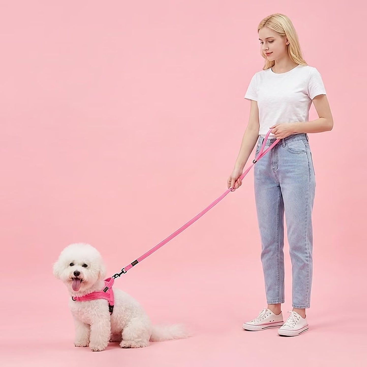 Correa perro rosa 6ft para pequeños ancho 5/8 pulg cierre 360