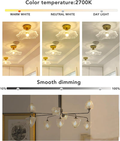 Pack 6 bombillas LED G25 Edison redondas regulables 4.5W 2700K