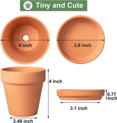 6 Pzas Macetas Terracota 4pulg Con Drenaje Interior Exterior