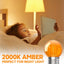 Bombilla LED G40 E26 ámbar 2000K luz cálida paquete 4