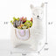 Macetas Alpaca 6pulg para Suculentas y Cactus Decorativas