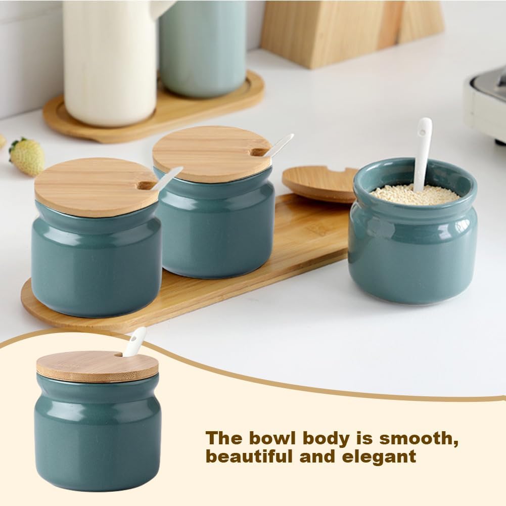 Azucarero de cerámica con tapa y cuchara, tarro de condimentos 10.56 oz