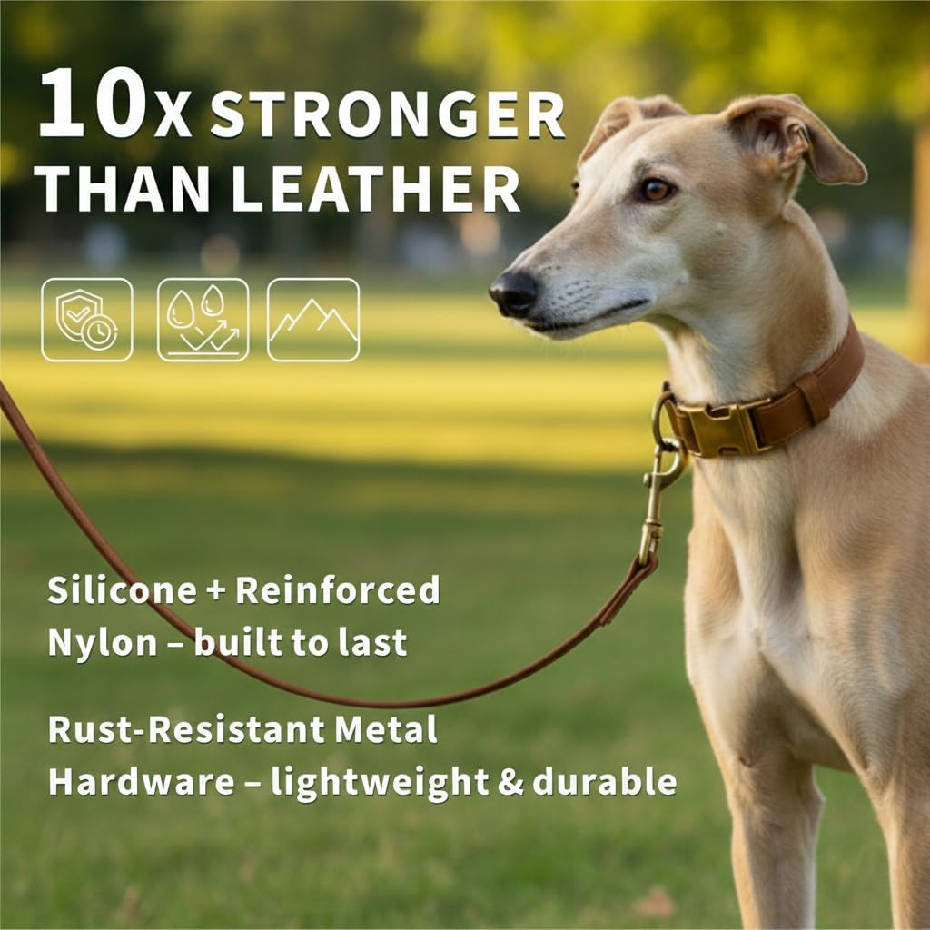 Juego collar y correa silicona para perro impermeable marrón