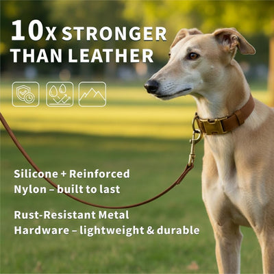 Juego collar y correa silicona para perro impermeable marrón