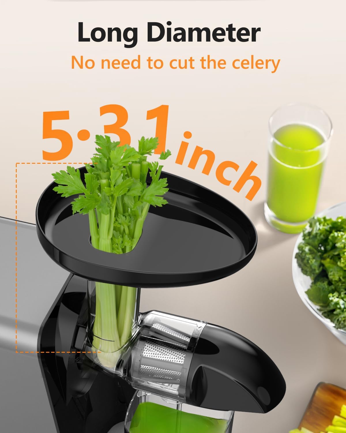 Extractor Jugos Exprimidor Frutas Verduras Motor 250W