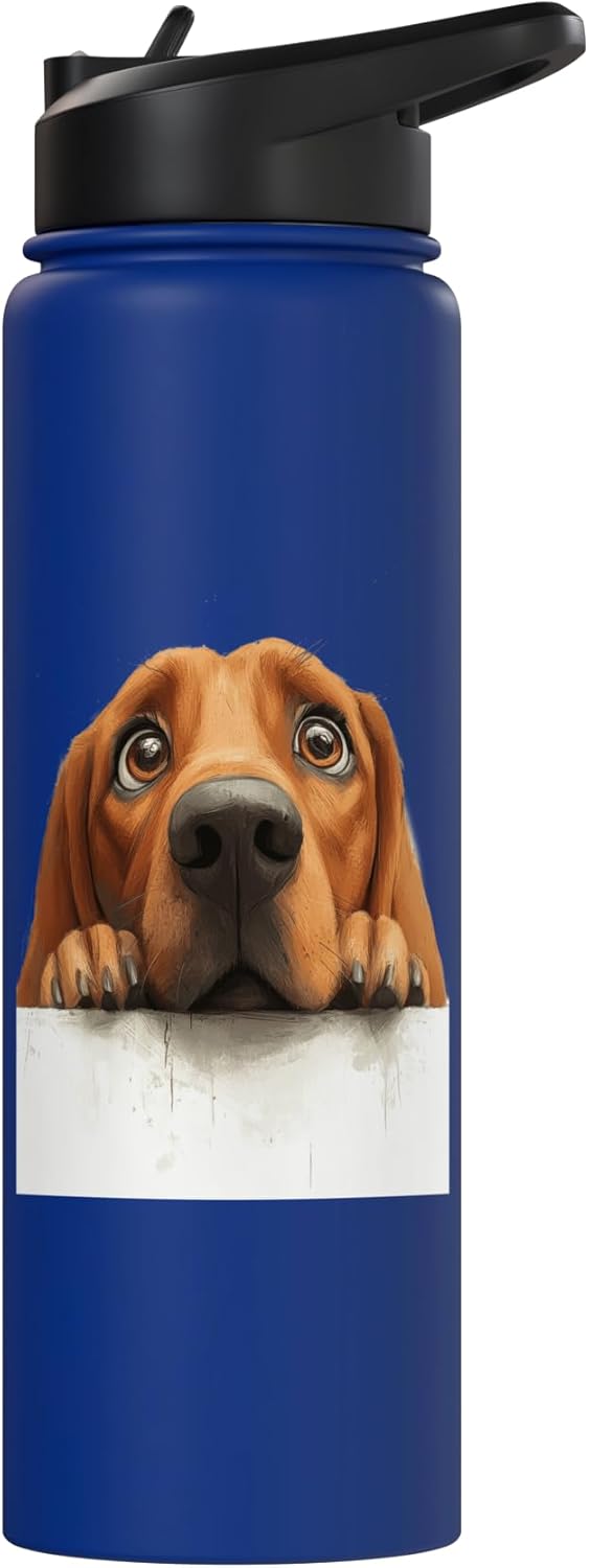 Bebida para perro acero inoxidable aislada con ojo grande