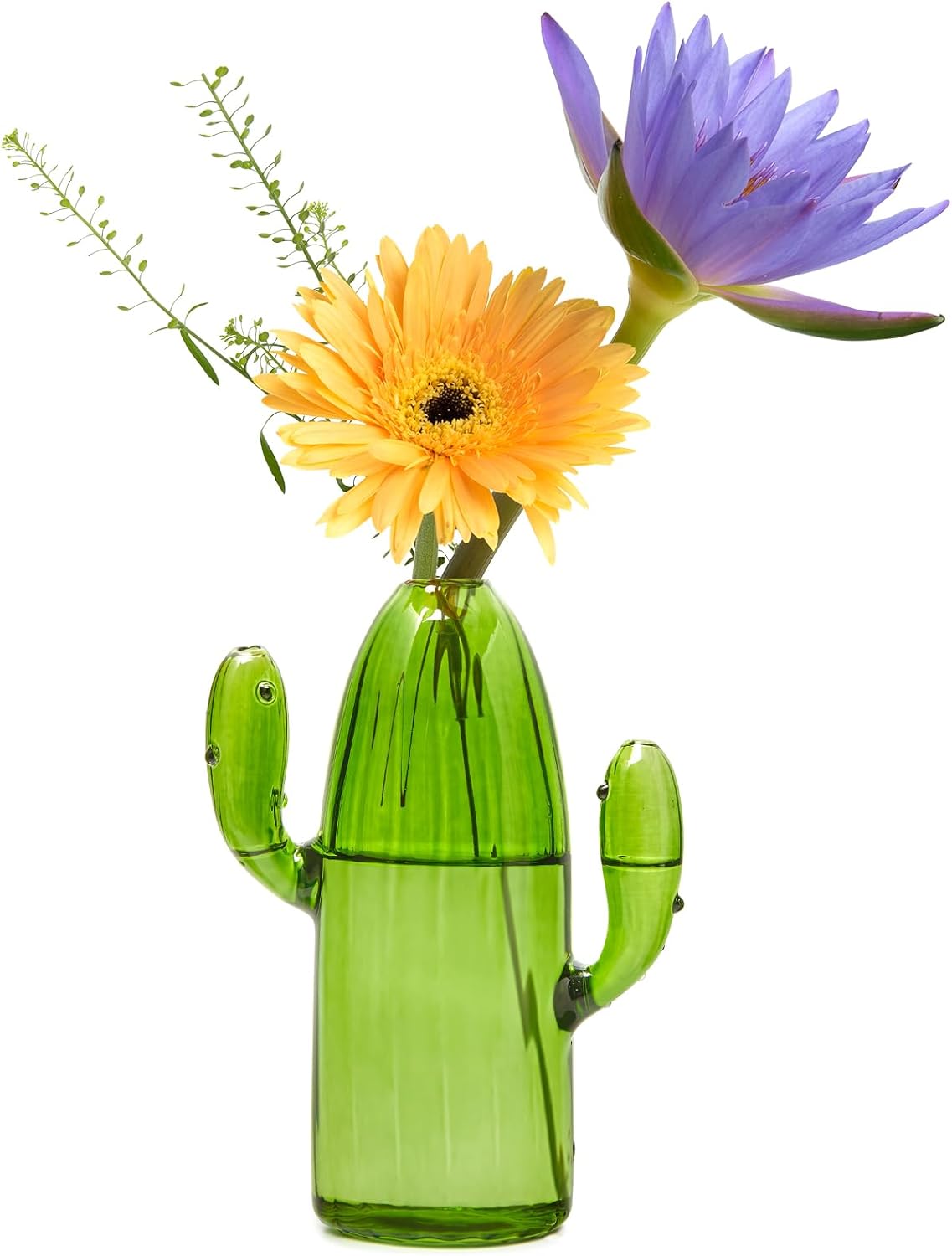 Soportes terrario vidrio para plantas aéreas