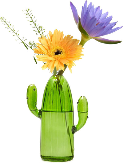 Soportes terrario vidrio para plantas aéreas