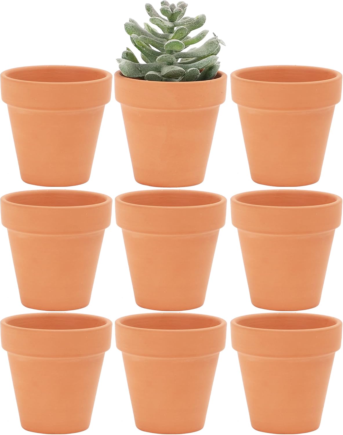 Macetas terracota 2pulg set 9 para suculentas cactus decoración