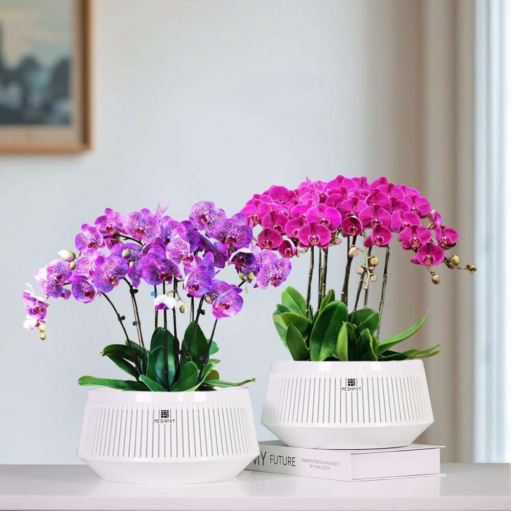Macetas plástico 8pulg orquídeas con agujeros aire
