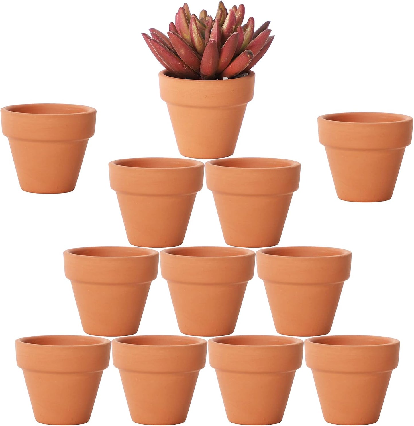 Macetas terracota 1.9pulg set 12 con agujeros cactus suculentas