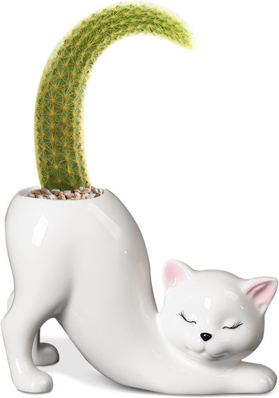 Maceta cerámica para gatos y plantas interior oficina