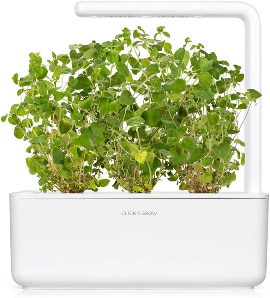 Repuesto Smart Garden Orégano 3 Pack