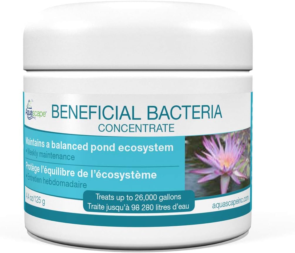 Bacterias secas para estanque y agua blanca