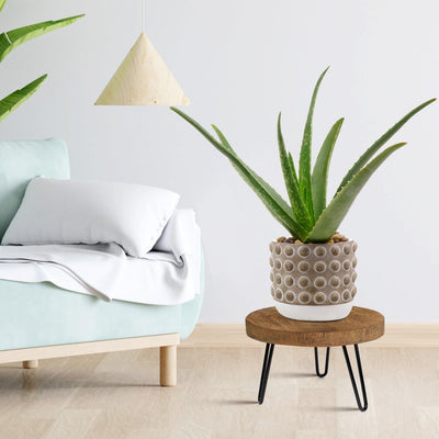 Soporte plantas madera moderno estilo mediados siglo