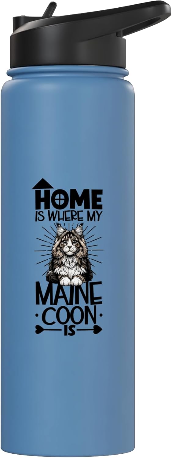 Bottella de agua aislada para gato Maine Coon de acero inoxidable