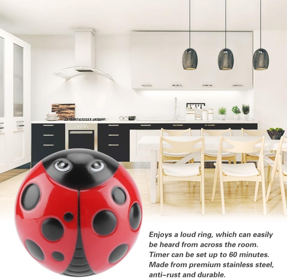 Temporizador cocina ABS 60 min campana fuerte