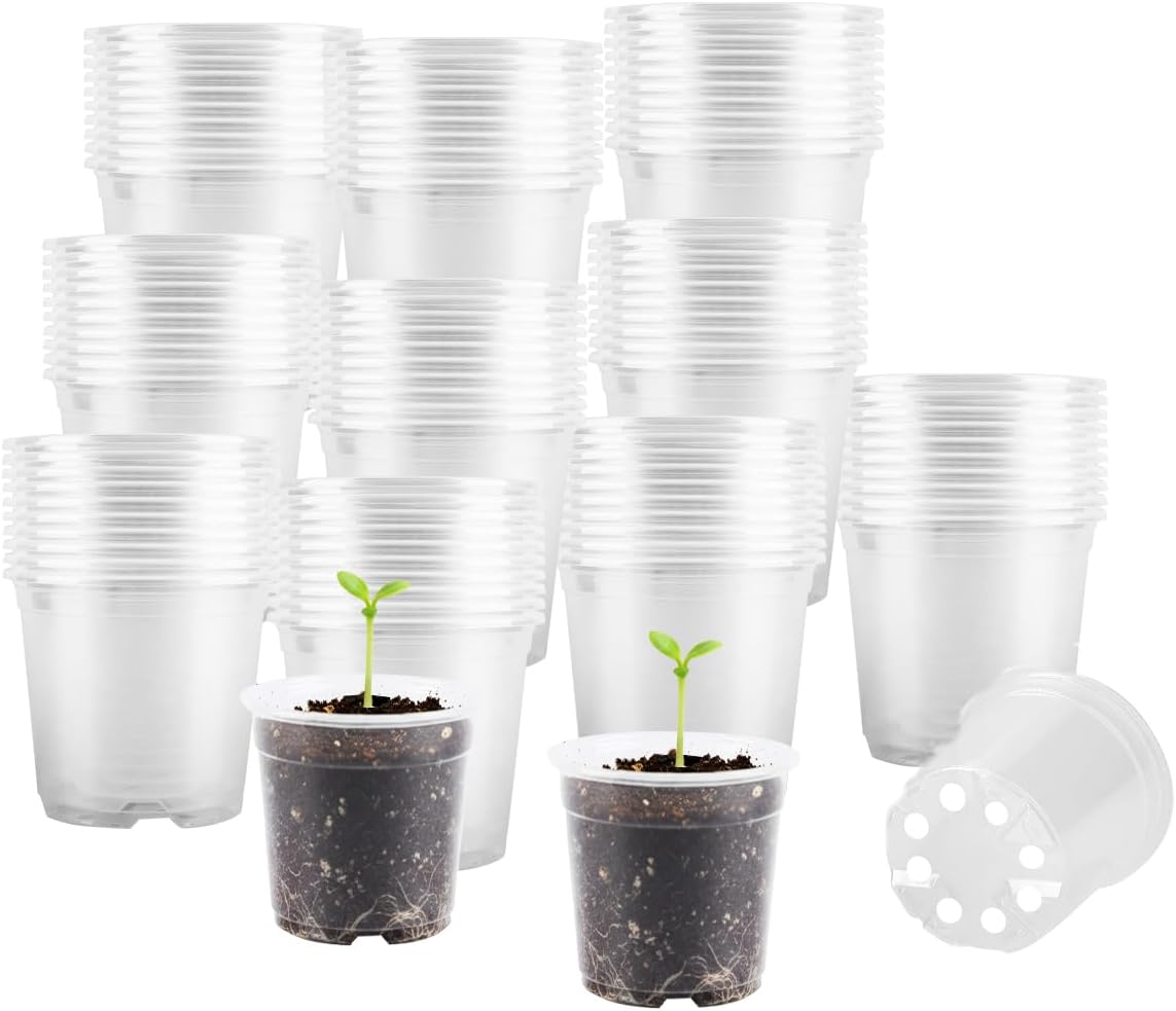 Set 100 Macetas Plástico 2.75pulg Transparentes para Semillero