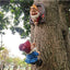 Estatua gnomos resina decoración jardín patio