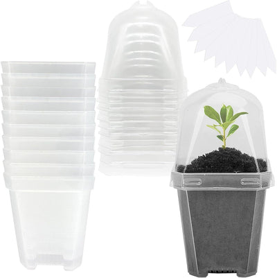 10 Macetas Plástico 3pulg Con Cúpula Humedad Jardinería