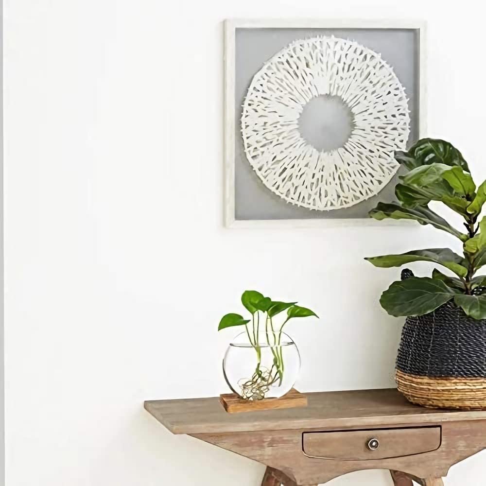Maceta vidrio soporte madera terrario plantas hidropónicas