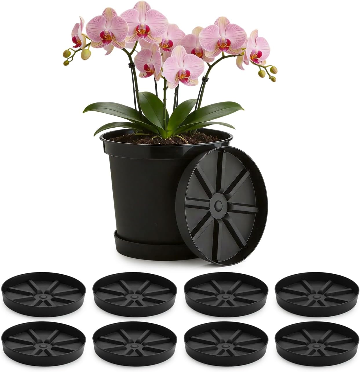 Platillo elevado para plantas 9pulg redondo con base