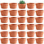 Macetas terracota poco profundas 2.7pulg juego 30 para cactus