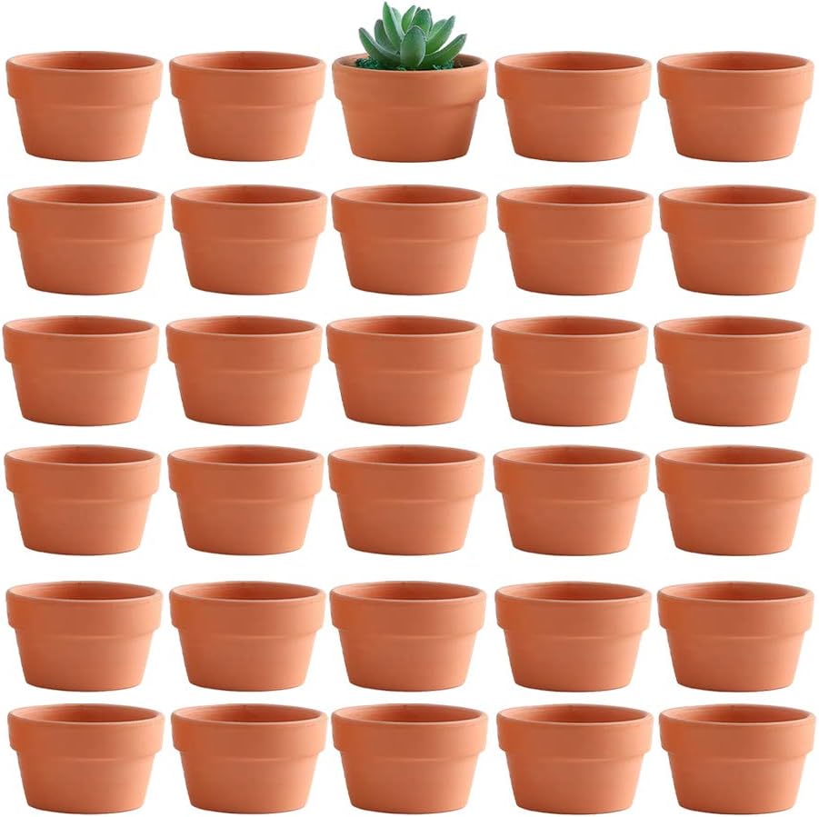 Macetas terracota poco profundas 2.7pulg juego 30 para cactus