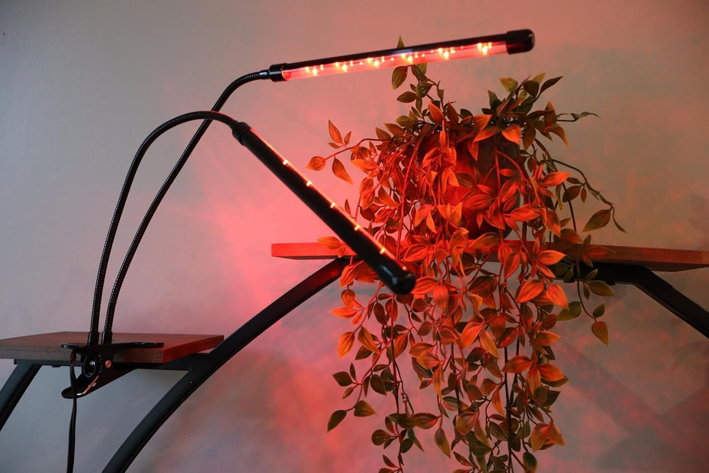 Luz cultivo plantas LED 6000K ajustable 10 niveles USB