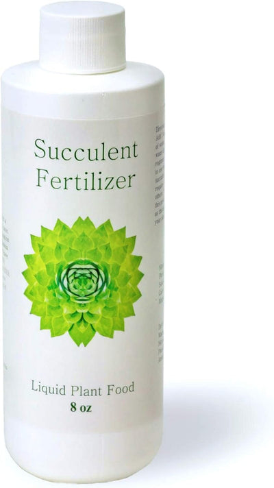 Fertilizante para suculentas y cactus en maceta