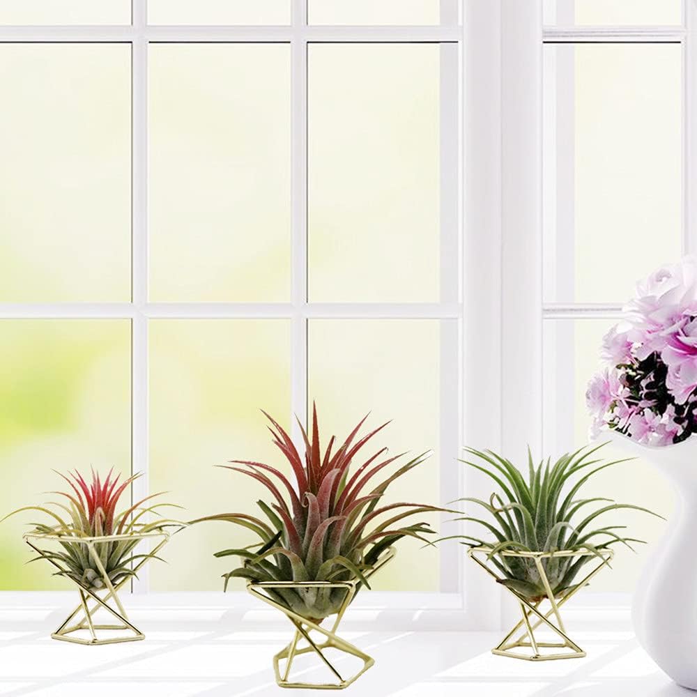Soporte geométrico para plantas de aire 3uds dorado