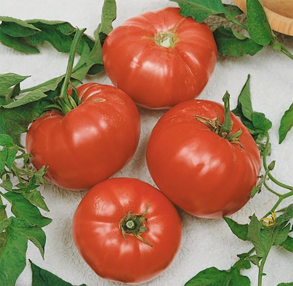 Semillas tomate sandía para cultivo casero