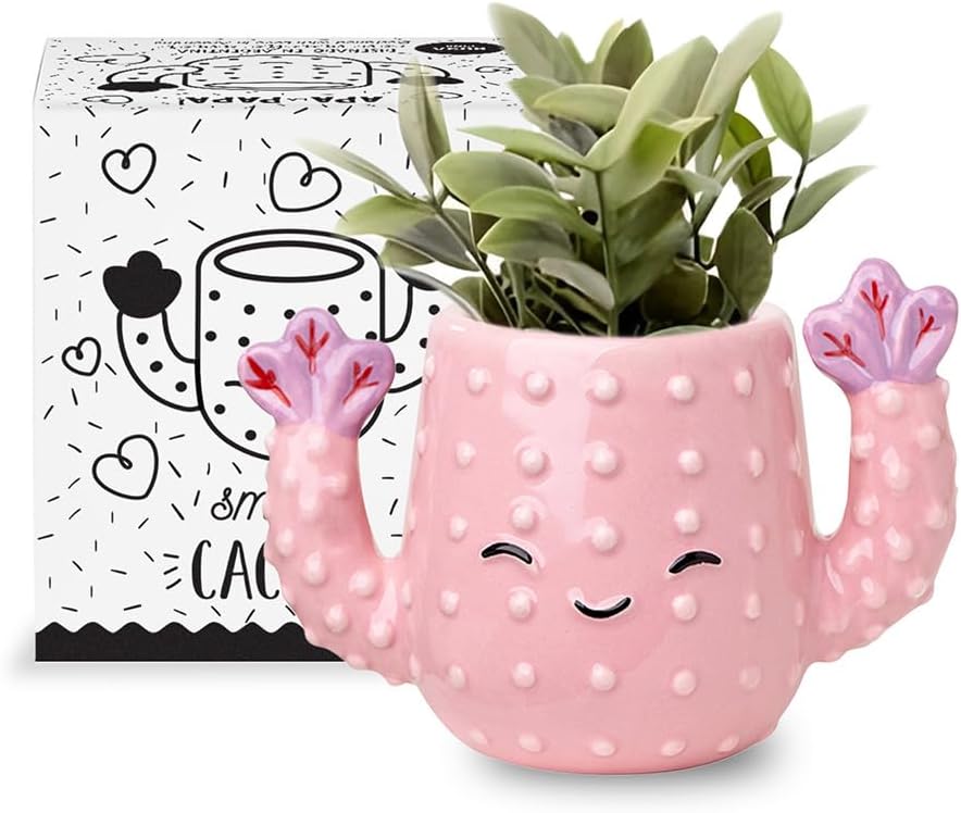Maceta cerámica cactus 5x3pulg pintada a mano con orificio drenaje