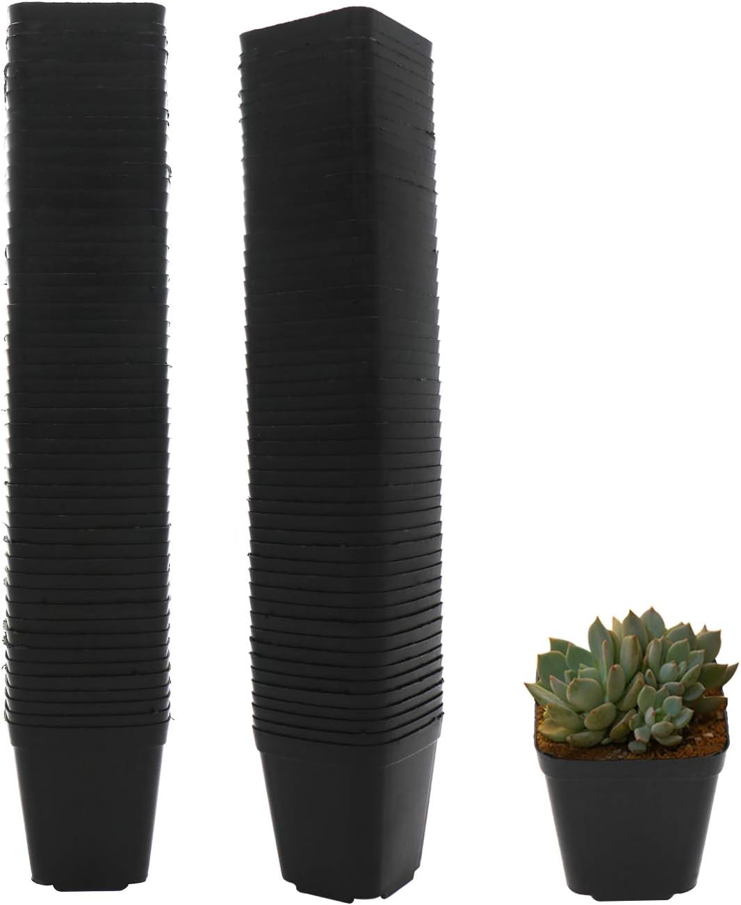 Macetas plástico cuadradas 2.2pulg set 100 reutilizables vivero