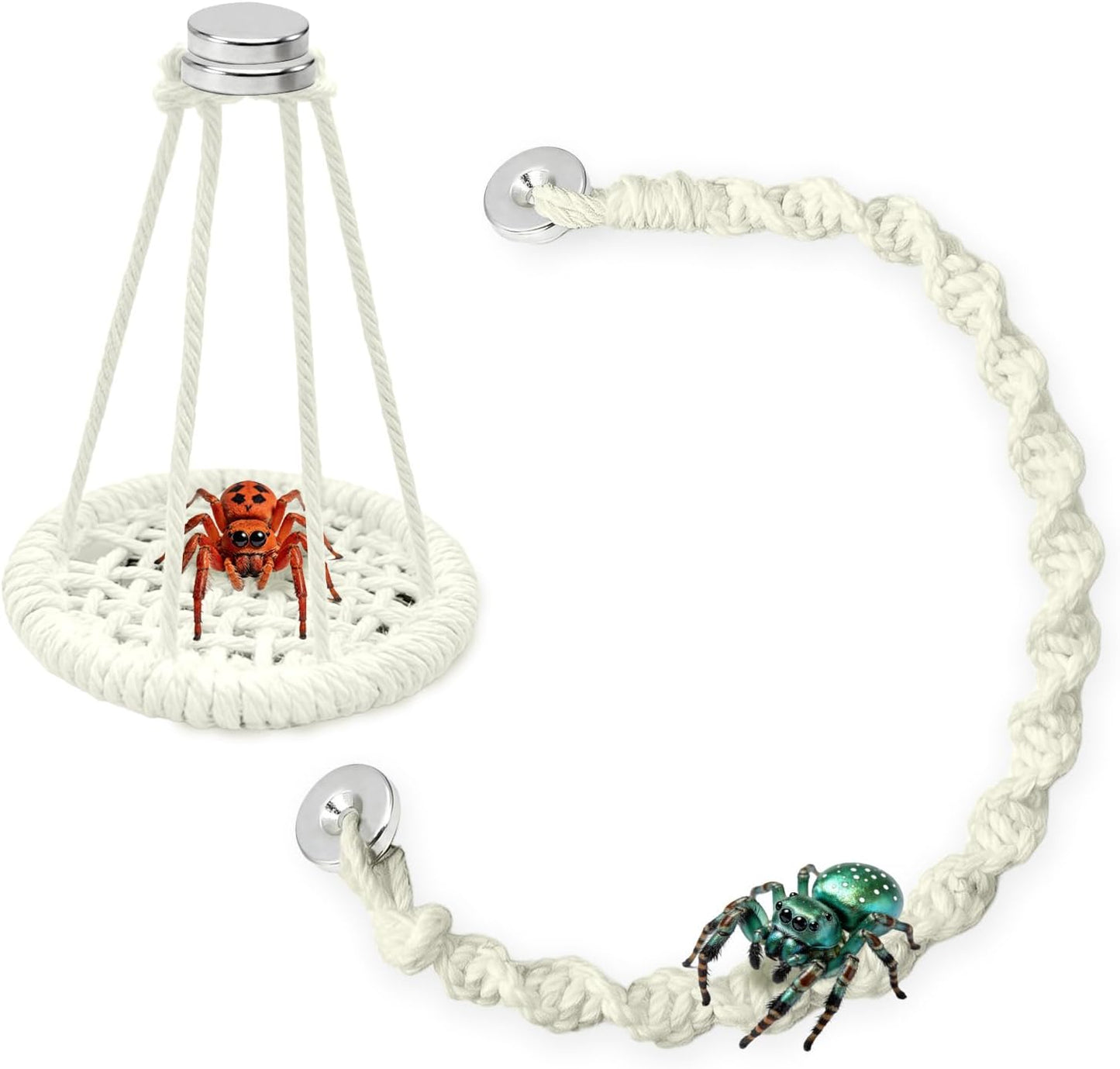Accesorios araña saltadora 2 pzas cuerda algodón magnético