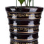 6 Pzas Platillos Plástico 12pulg Impermeable para Plantas