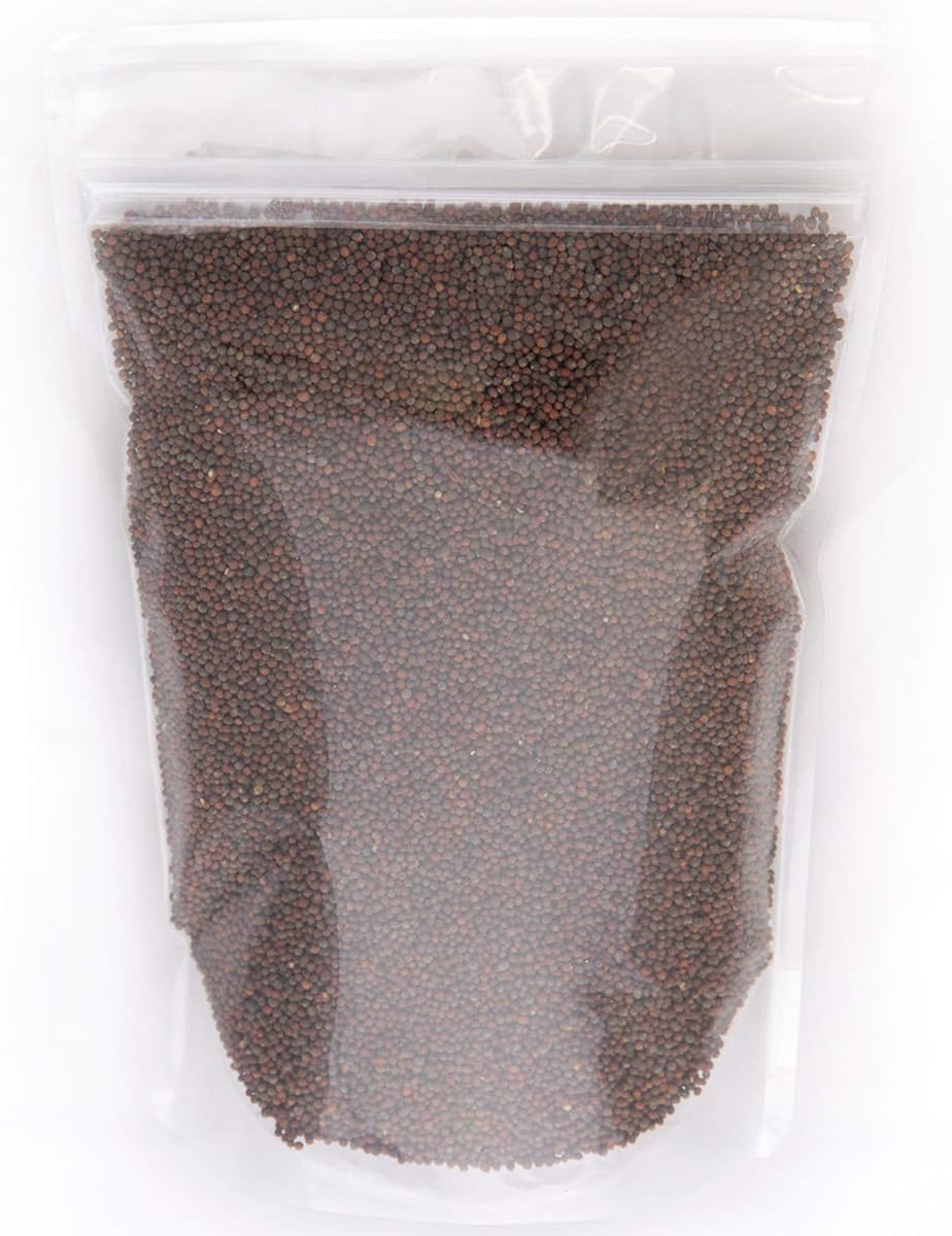 Semillas brócoli germinado Waltham 29 sin OMG bolsa 16oz