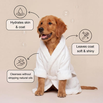 Champú hipoalergénico para perros piel sensible avena aloe