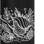 Botella agua acero inox aislada Fish Line Art