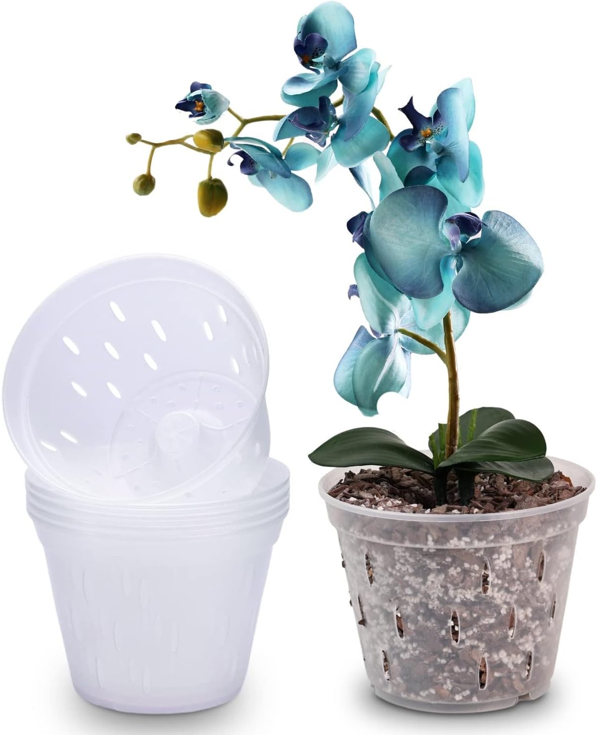 Macetas plástico transparente orquídeas 5.5pulg set 5