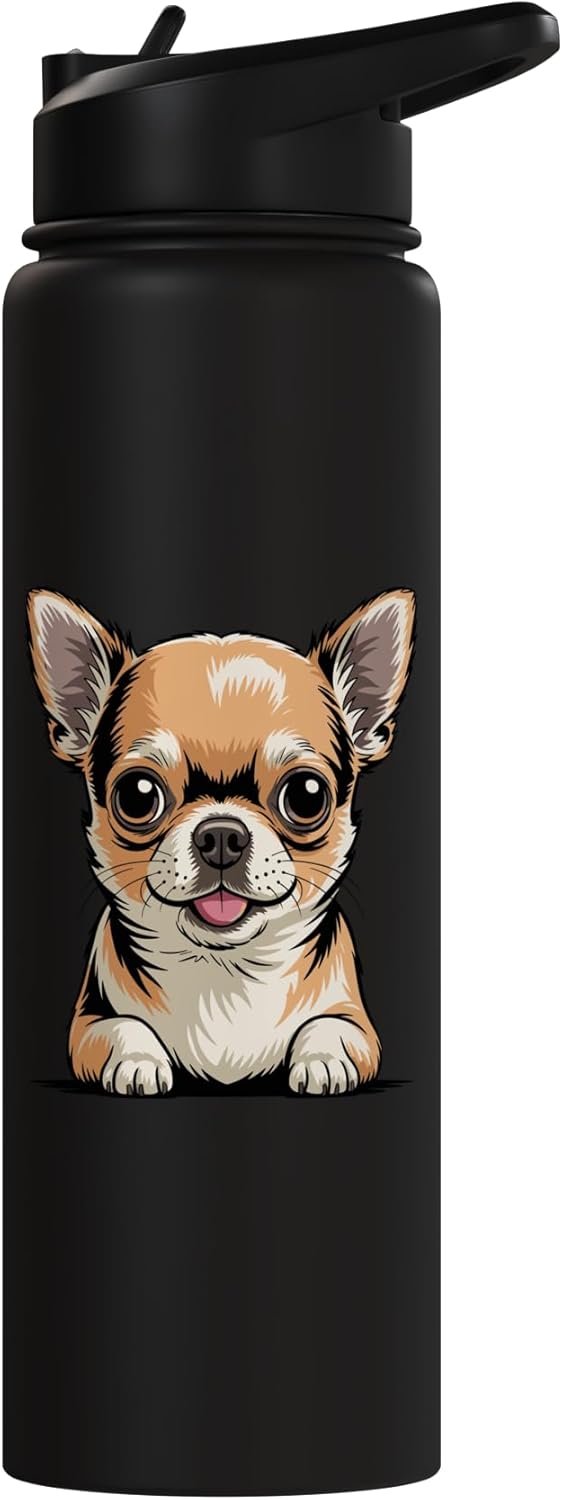 Botella de agua aislada para perros Chi de acero inoxidable