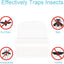 12 Almohadillas Adhesivas para Atrapador Insectos