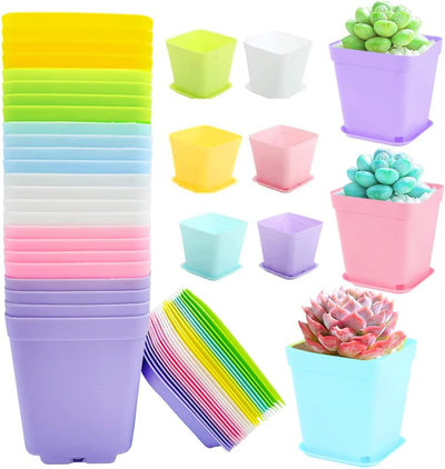 24 Macetas Plástico 3pulg Cuadradas Jardín Multicolor