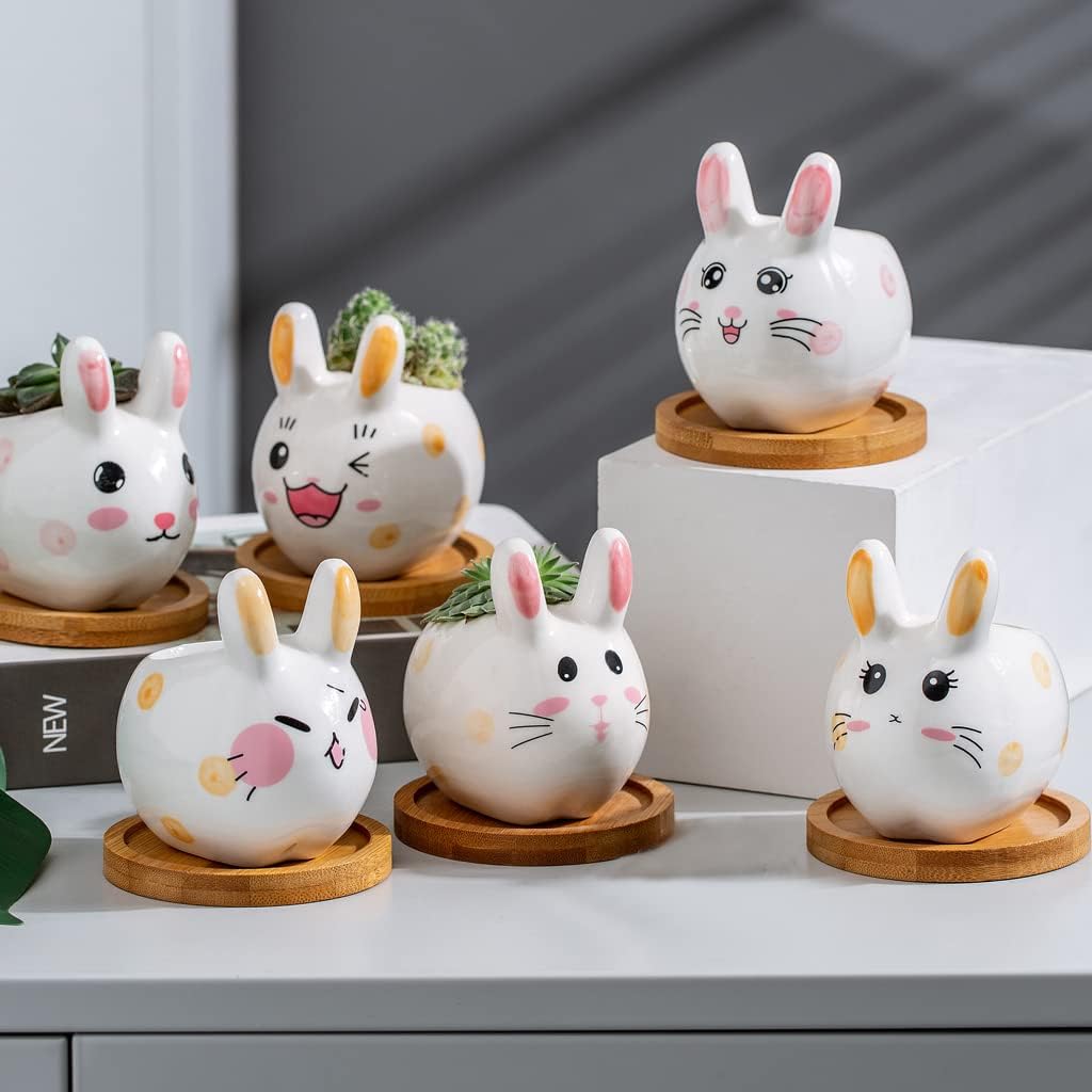 Macetas cerámica 3.6pulg suculentas con bandeja bambú regalo Pascua