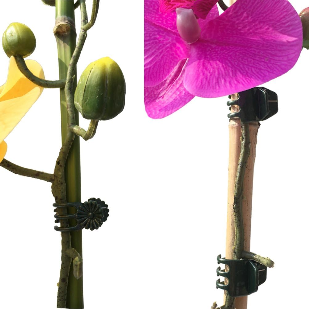 20 Clips Grandes y 50 Pequeños para Orquídeas Jardín Tomate Verde